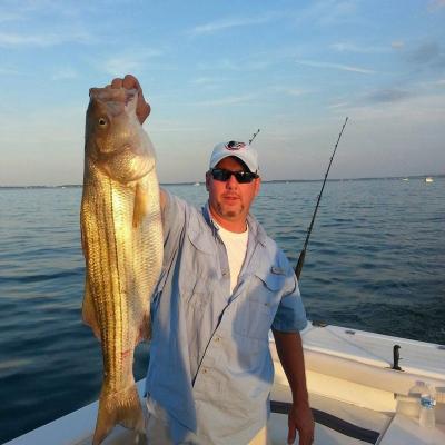 15894388 10202411807494621 5697544681856766701 N